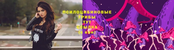 тгк Няндома