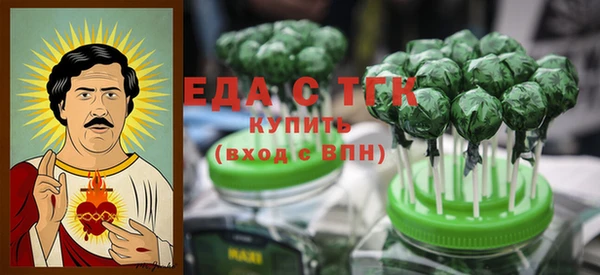 тгк Няндома