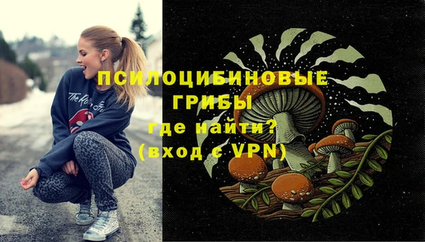 тгк Няндома