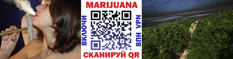 Бошки марихуана планчик  гидра сайт  Россошь  купить  сайты 